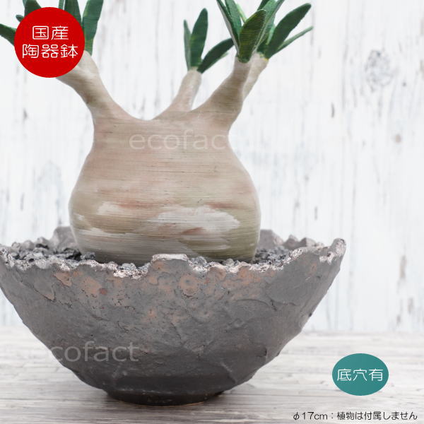 楽天市場】作家 器(植木鉢・プランター|ガーデニング・農業 楽天市場】作家 器(植木鉢・プランター|ガーデニング・農業