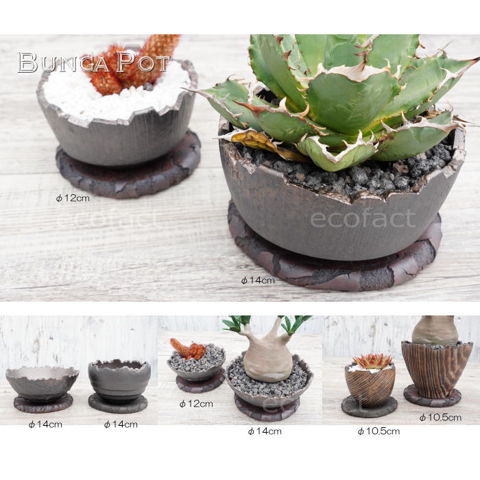 植木鉢受け皿陶器日本製有田焼丸型受皿黒ブラック(大)φ14cm殻加工BUNGAPOTおしゃれかわいい陶芸鉢宝寿窯観葉植物アガベサボテンビザールプランツ塊根植物コーデックス多肉植物