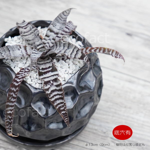 植木鉢 おしゃれ 陶器鉢 丸型 4.5号相当 室内 受け皿付き 底穴あり ソルロックS メタル（焼鉄色 ）φ13cm プランター 観葉植物 モンステラ ガジュマル サンスベリア