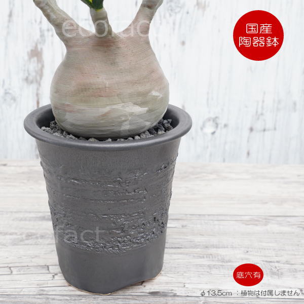 楽天市場】作家 器（植木鉢・プランター｜ガーデニング・農業）：花