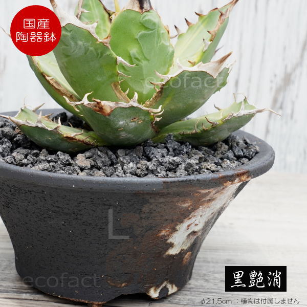 陶器鉢 植木鉢 底穴あり 艶消黒そりL ブラック おしゃれ プランター 園芸鉢 信楽焼 かみ山陶器 観葉植..