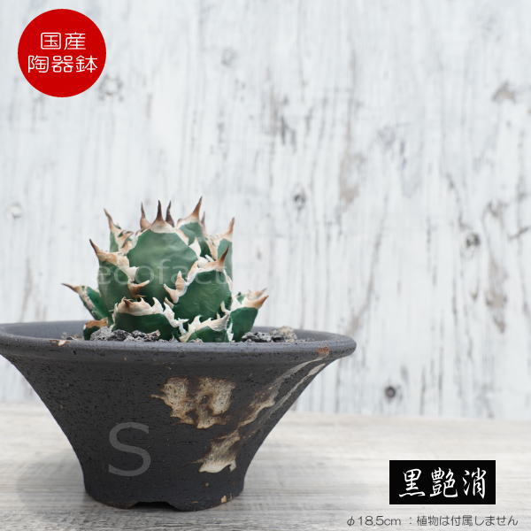 陶器鉢 植木鉢 底穴あり 艶消黒そりS ブラック おしゃれ プランター 園芸鉢 信楽焼 かみ山陶器 観葉植..