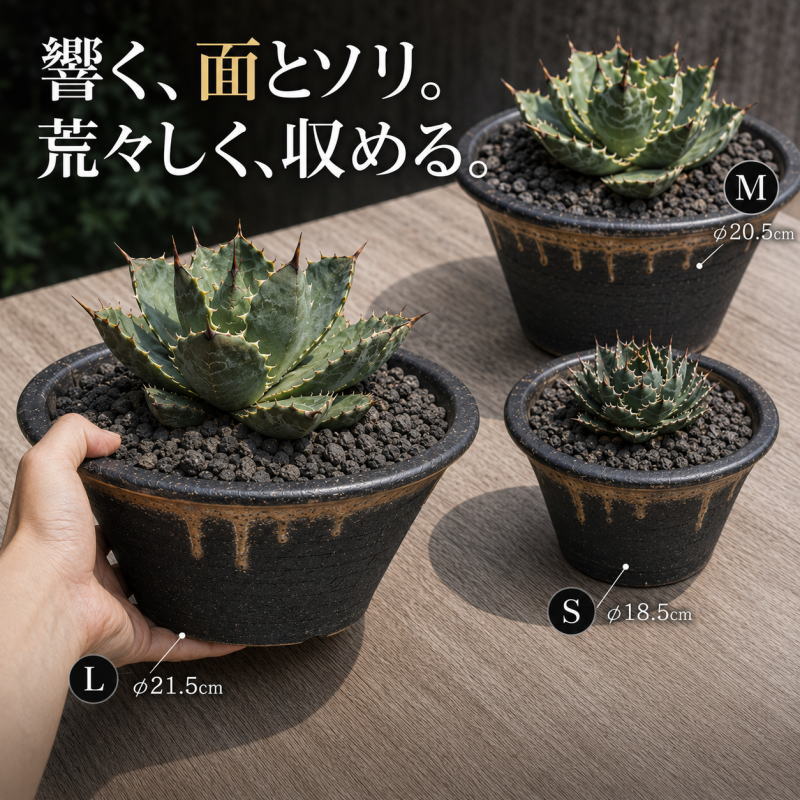 植木鉢おしゃれ室内陶器鉢浅型7｜6...