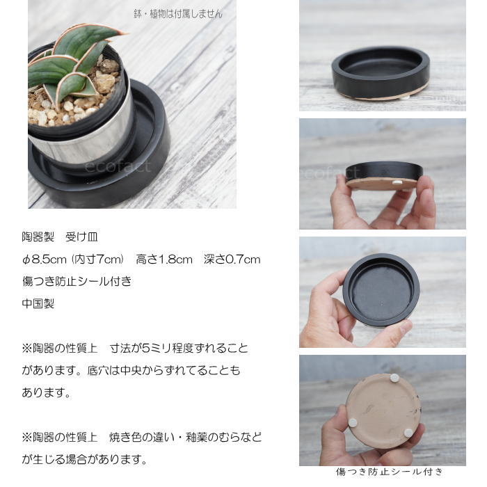 ȭ�� ������ ���� �������� ��8.5cm ����ߥå� �� �֥�å� �ɿ� ƫ��ȭ ����ȭ �ߥ˥ݥå� ���ȭ ���տ�ʪ ������ ���ܥƥ� �ӥ�����ץ��� ������ʪ �����ǥå��� ¿����ʪ