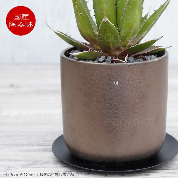 陶器鉢 植木鉢 ミニポット 皿付 みやび M 筒型 ブロンズ φ12cm 国産鉢 おしゃれ かわいい プランター 園芸鉢 観葉植物 アガベ サボテン ビザールプランツ 塊根植物 コーデックス 多肉植物