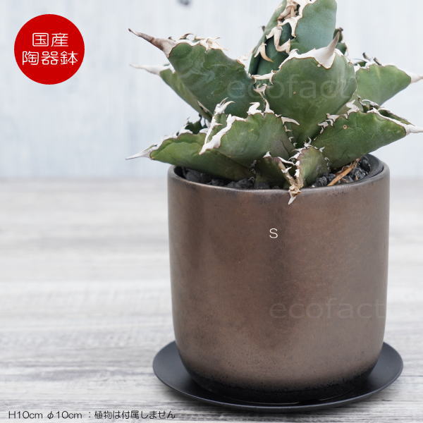 陶器鉢 植木鉢 ミニポット 皿付 みやび S 筒型 ブロンズ φ10cm 国産鉢 おしゃれ かわいい プランター 園芸鉢 観葉植物 アガベ サボテン ビザールプランツ 塊根植物 コーデックス 多肉植物