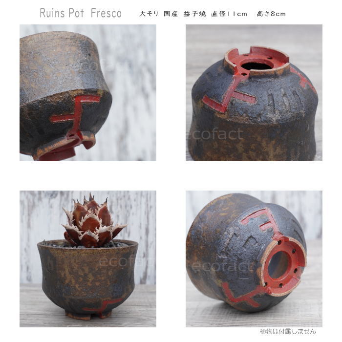 ƫ��ȭ ����ȭ ��ȭ ��ꤢ�� �׻Ҿ� Ruins Pot Fresco �礽�� ��11cm ������� ���ȭ �ץ�󥿡� ������ �����ǥå��� ������ʪ NK CERAMICA(���̥�������ߥ�)