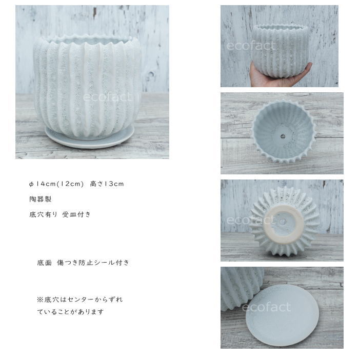 植木鉢 おしゃれ 陶器鉢 小型 4.5号相当 室内 底穴あり 受け皿あり メレンゲ φ14cm...