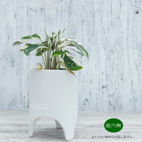 鉢カバー フラワーポット 植木鉢 おしゃれ 陶器鉢 ホワイト 白 バンブー φ11cm ポット 陶器 足付き プランター 観葉植物 園芸 ガーデニング アグラオネマ カラテア