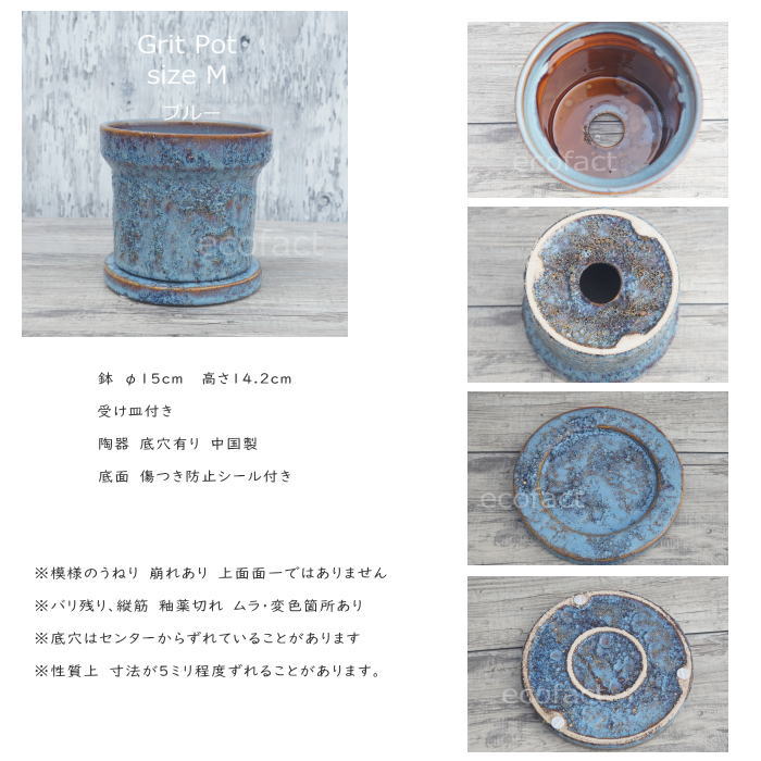 ����ȭ ������� ƫ��ȭ 5�� ���� �������դ� ��ꤢ�� Grit M �֥롼 �� ��15cm ����� �ץ�󥿡� Ǯ�ӿ�ʪ ���������� �ե����ǥ�ɥ��� ������