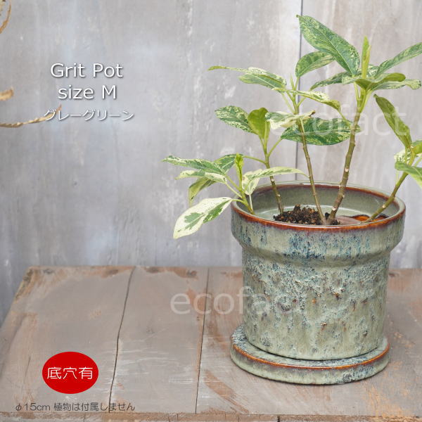 植木鉢 おしゃれ 陶器鉢 室内 5号 受け皿付き Grit M グレイグリーン φ15cm 緑プラ...