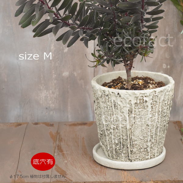 楽天市場】ミッドセンチュリー（植木鉢・プランター｜ガーデニング