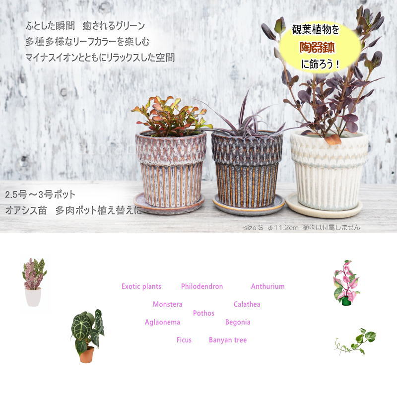 植木鉢 おしゃれ 陶器鉢 小型 3.5号 室内 受け皿付き 底穴ありφ11.2cm Merge S ホ...