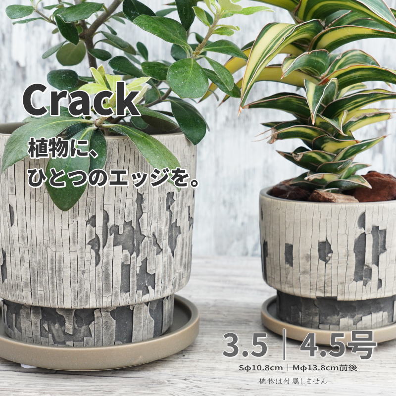 楽天市場】鉢 クラックの通販