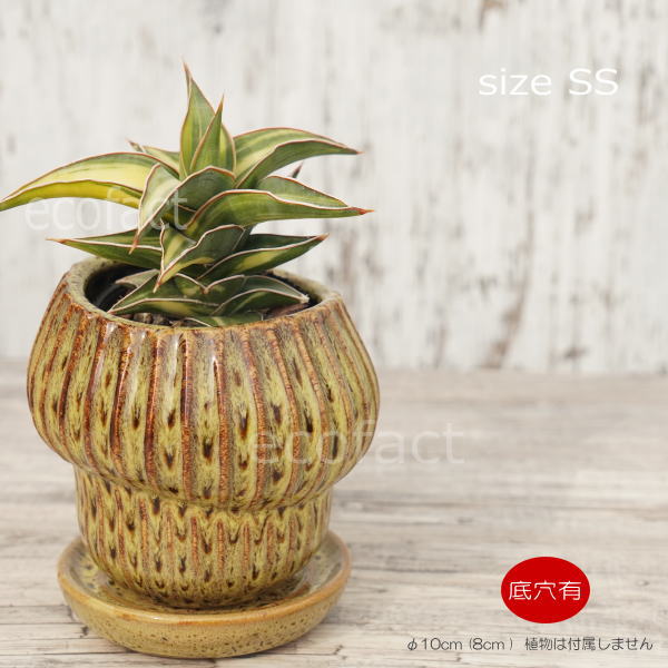 植木鉢 おしゃれ 陶器鉢 フラワーポット ミニポット 底穴あり ツボポットSS 斑紋イエロー φ10(8)cm プランター 園芸鉢 観葉植物 多肉植物 熱帯植物