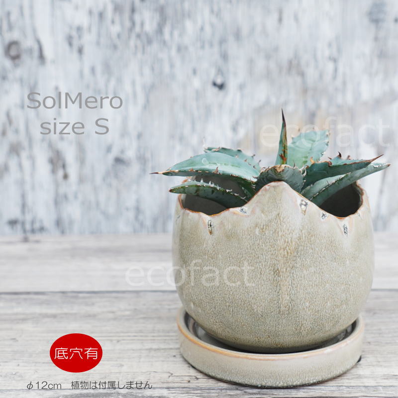 ポット 鉢 植木鉢 プランター おしゃれ 陶器 φ12cm Solmero S グレー フラワーベース 花瓶 ガーデニング 園芸