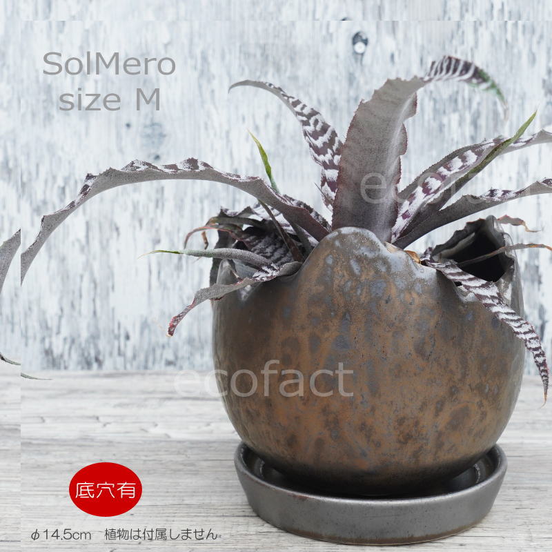 Rakuten - 植木鉢 おしゃれ 陶器鉢 室内 4.5号相当 受け皿付き φ14.5cm Solmero M ブロンズ プランター 熱帯植物 アロカシア フィロデンドロン アガベ