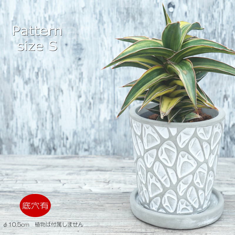 楽天市場】ポインセチア 鉢（サイズ（植木鉢）～ 3号）の通販