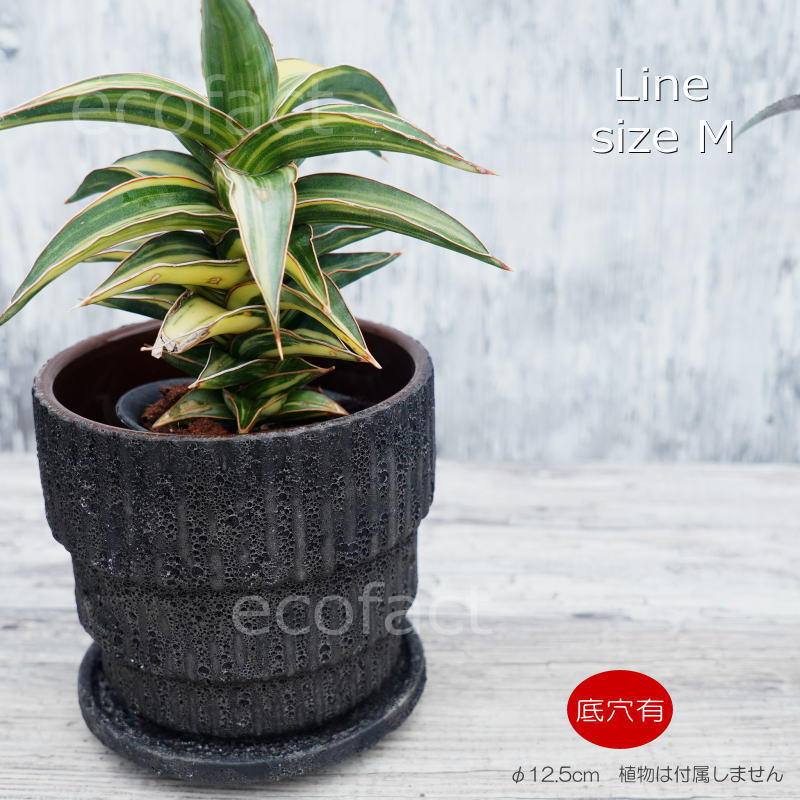 ~3 - 植木鉢 おしゃれ 陶器鉢 小型 4号 室内 受け皿付き 底穴あり Sol Line M φ12.5cm グレー モダン プランター 熱帯植物 アロカシア フィロデンドロン アガベ