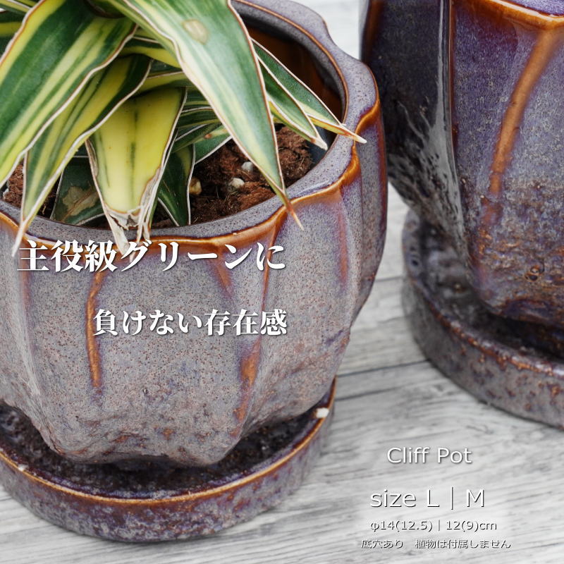 薄紫色のドット模様プランター 楽天市場】パープル（植木鉢・プランター｜ガーデニング・農業）：花