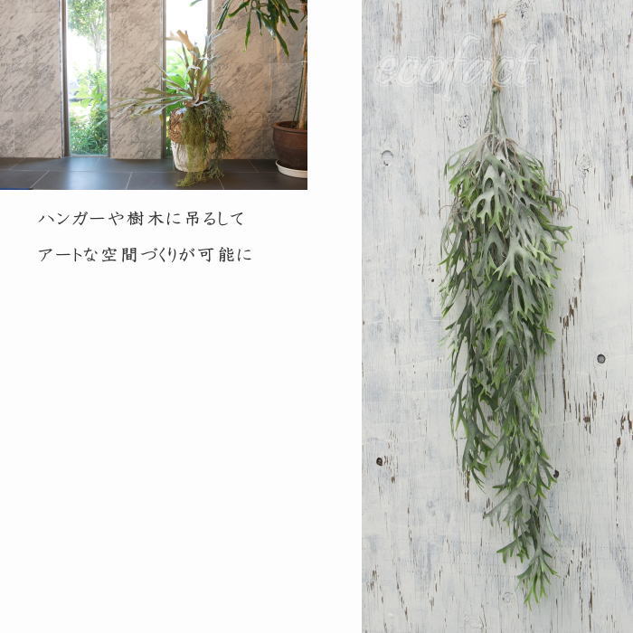 大人の趣味空間のフェイクグリーン ハンギングブッシュ コウモリラン（ビカクシダ）80cm 大型 壁掛け 人工観葉植物 おしゃれ ウォールアート 造花 壁面緑化 パネル ボード アートフレーム アレンジメント 飾り｜アングル3