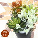フェイクグリーン アレンジポット(多肉系5種) ポット 大型 人工観葉植物 おしゃれ ウォールアート 造花 壁面緑化 パネル ボード アートフレーム アレンジメ...