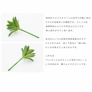 スターアエオニウム（グリーン）2個アソート 多肉植物ピック　フェイクグリーン アレンジ 人工観葉植物 おしゃれ ウォールアート 造花 壁面緑化 パネル 壁掛け