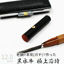 印鑑 はんこ 銀行印 黒水牛 ケースあり 印面朱色 実印 認印 個人印 ハンコ 仕事 職場 12mm 10年保証