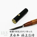 【本日エントリーで抽選最大100%Pバック!】印鑑 はんこ 銀行印 黒水牛 芯持ち ケース無し 印面ゴールド 実印 認印 個人印 ハンコ 仕事 職場 13.5m...