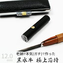 印鑑 はんこ 銀行印 黒水牛 ケースあり 印面シルバー 実印 認印 個人印 ハンコ 仕事 職場 12mm 10年保証