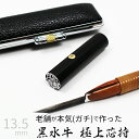 印鑑 はんこ 銀行印 黒水牛 ケースあり 印面シルバー 実印 認印 個人印 ハンコ 仕事 職場 13.5mm 10年保証