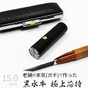 印鑑 はんこ 銀行印 黒水牛 ケースあり 印面シルバー 実印 認印 個人印 ハンコ 仕事 職場 15mm 10年保証