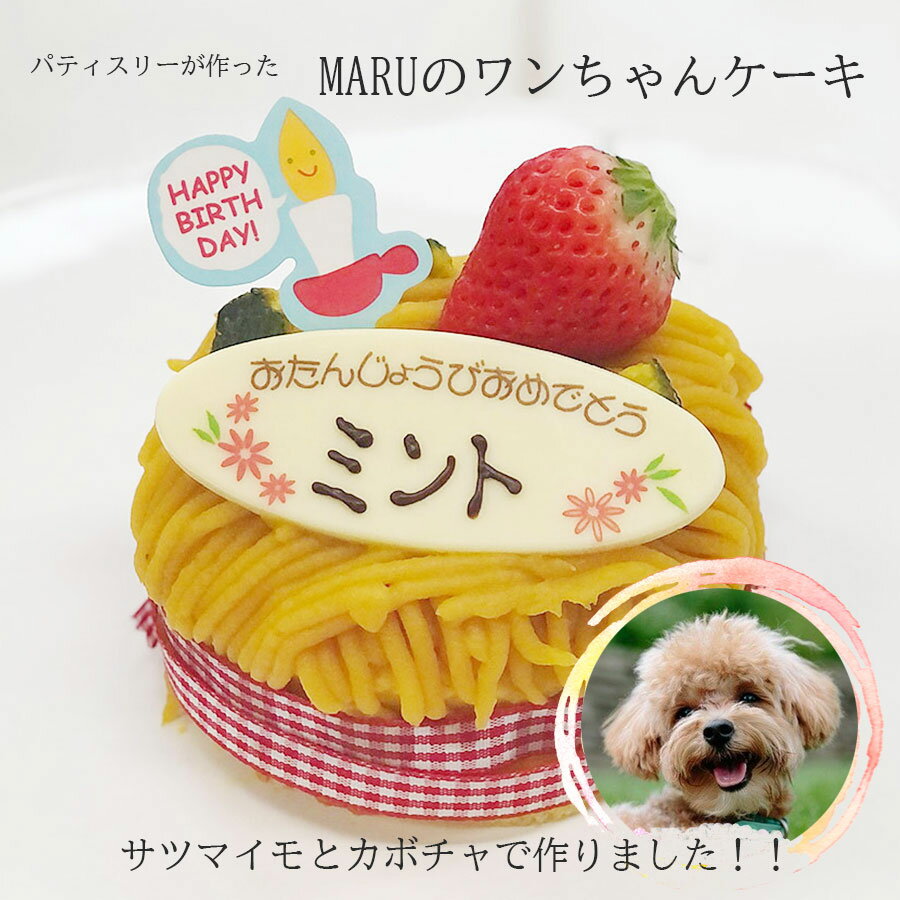 送料無料！サツマイモとカボチャで作ったMARUのワンちゃんケーキ　　犬　誕生日ケーキ　お祝い　メッセージ　愛犬 お買い物マラソン　バレンタイン2023