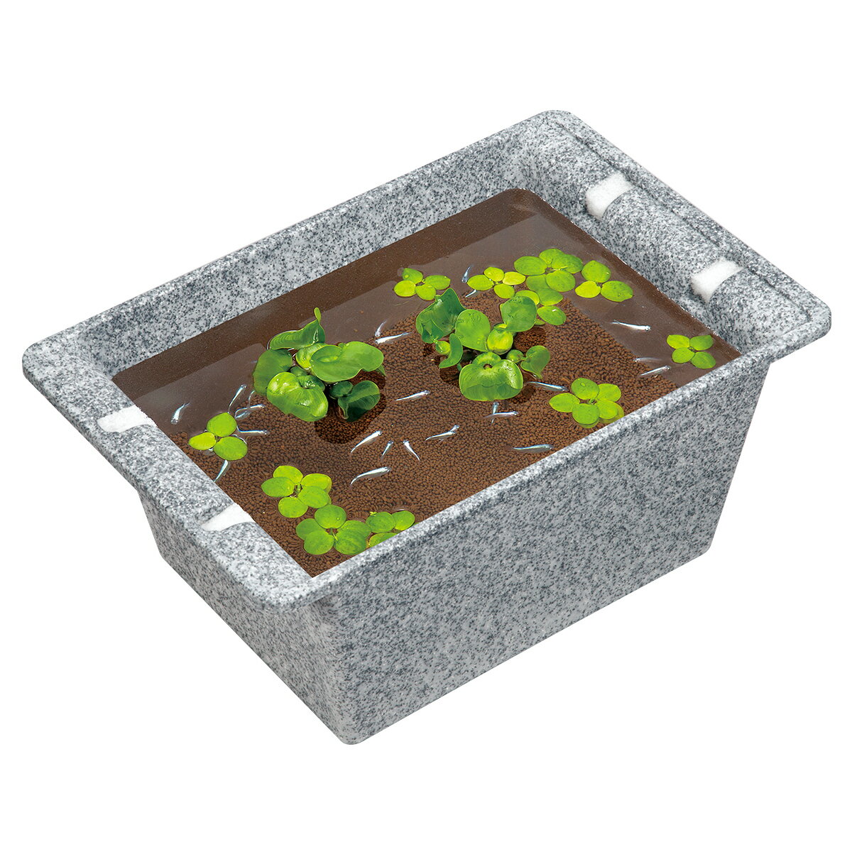 めだか 屋外 飼育 水槽 容器 ビオトープ スドー 華めく鉢 大 みかげ S-6734