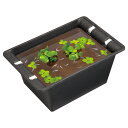 【訳あり・処分品・特価】めだか 屋外 飼育 水槽 容器 ビオトープ スドー 華めく鉢 大 くろらめ S-6736