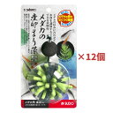 1個209円【訳あり・処分品・特価】 スドー 産卵床 メダカの産卵まり藻 小 マツモ 12個セット S-5808 メダカ めだか 産卵 時期 お徳用 業務用 大...