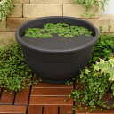【訳あり・処分品・特価】 11号 プラスチック 睡蓮鉢 植木鉢 ビオトープ めだか 屋外 飼育 水槽 容器 スドー メダカ鉢 黒茶 S-5574