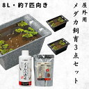 【8L・約7匹サイズ】 スドー 初心者向け メダカ 飼育セット 屋外 3点 8リットル 鉢 水槽 ビオトープ カルキ抜き 餌 稚魚