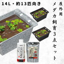 【14L・約13匹サイズ】 スドー 初心者向け メダカ 飼育セット 屋外 3点 14リットル 鉢 水槽 ビオトープ カルキ抜き 餌 稚魚