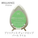 ブリリアンス デュードロップ 単色 パール ライム ツキネコ bd-42 紙用インク