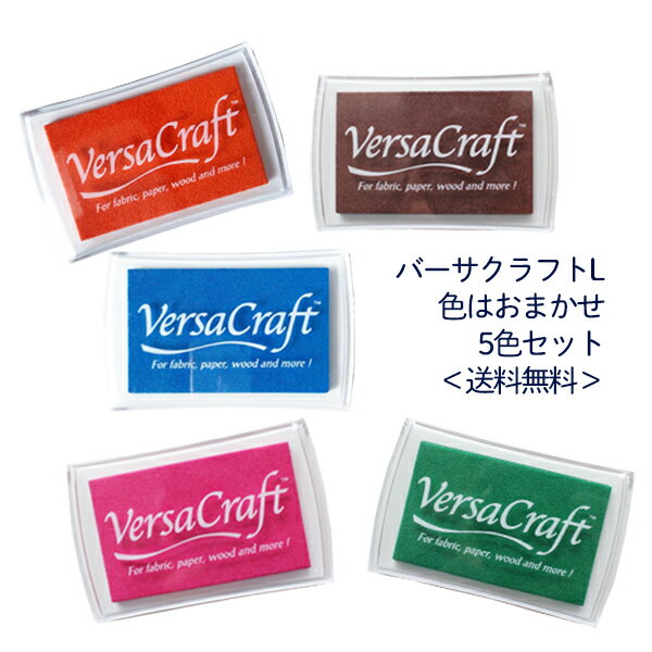 エピリリ インク 福袋 バーサクラフト L Versa Craft 色はおまかせ5色セット 