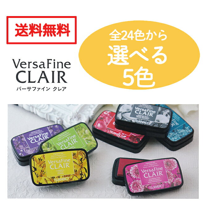 バーサファインクレア 選べる5色 スタンプ ツキネコ インク バーサファイン・クレア Versa Fine CLAIR 年賀状 クリスマスカード 色鮮やかな 速乾性 油性インク 年賀状 クリスマスカード 手作り 親子工作 ハンドメイド 自由研究 キット