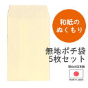 ポチ袋 【5枚セット】 無地 和紙 日本製 国産 お年玉袋 おとし玉袋 ハンドメイド 手作り 無地封筒 無地ポチ袋