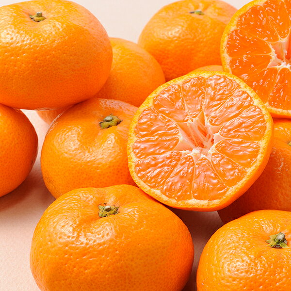 お歳暮 フルーツ 送料無料 メーカー直送 愛媛みかん[2kg] fw-em2kg 代引き後払い対応不可品 御歳暮 御挨拶 ご挨拶 ごあいさつ 御礼 お礼 冬ギフト 冬 ギフト 寒中見舞い お年賀 御年賀(4)