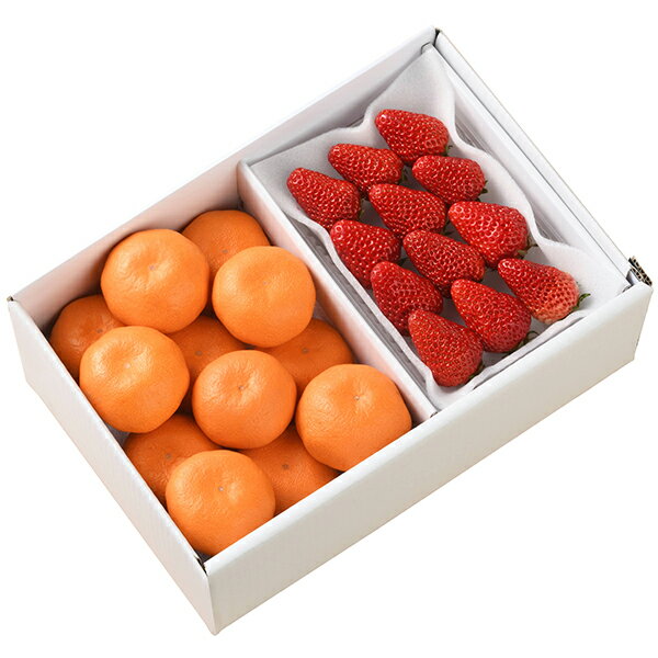 お歳暮 フルーツ 送料無料 メーカー直送 いちごとみかん fw-itm 代引き後払い対応不可品 御歳暮 御挨拶..