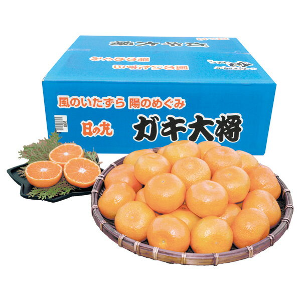 お歳暮 フルーツ 送料無料 メーカー直送 愛媛県産 日の丸みかん「ガキ大将」 代引き後払い対応不可品 御歳暮 御挨拶 ご挨拶 ごあいさつ 御礼 お礼 冬ギフト 冬 ギフト 寒中見舞い お年賀 御年賀