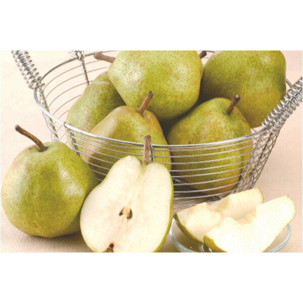 お歳暮 フルーツ 送料無料 メーカー直送 山形 ラ・フランス 代引き後払い対応不可品 御歳暮 御挨拶 ご挨拶 ごあいさつ 御礼 お礼 冬ギフト 冬 ギフト 寒中...