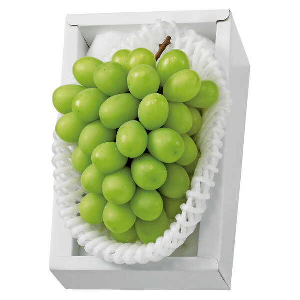 お歳暮 フルーツ 送料無料 メーカー直送 岡山産シャインマスカット 代引き後払い対応不可品 御歳暮 御..