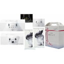 香典返し 王子ネピア ネピア鼻セレブギフト WIDE5 NHS-2002209 内祝い お見舞いお礼 出産内祝い 結婚内祝い 入学内祝い 快気内祝い 奉書 ご挨...