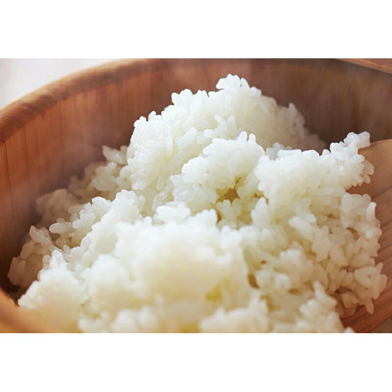 お歳暮 お米 送料無料 メーカー直送 吉兆楽 雪温精法 氷温熟成 新潟産こしひかり(窒素充填包装) 210177 代引き後払い対応不可品 御歳暮 御挨拶 ご挨拶 ごあいさつ 御礼 お礼 冬ギフト 冬 ギフト 寒中見舞い お年賀 御年賀 2